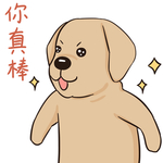 哈发发