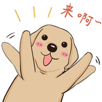 哈发发