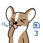 哈飞飞