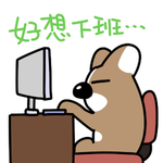 哈飞飞