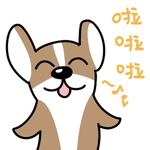 哈飞飞