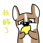 哈飞飞