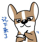 哈飞飞