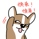 哈飞飞