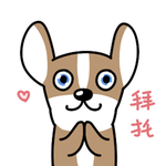 哈飞飞