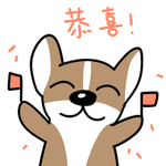 哈飞飞
