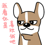 哈飞飞