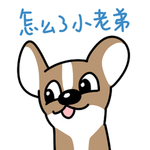 哈飞飞