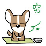哈飞飞