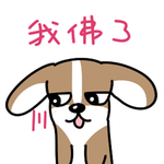 哈飞飞