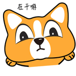 哈肥基
