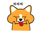 哈肥基