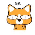 哈肥基