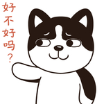 哈壮壮