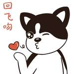 哈壮壮