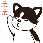 哈壮壮