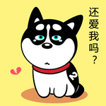 哈小齐