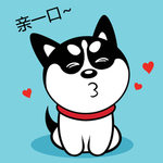 哈小齐