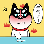 哈小齐
