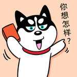 哈小齐