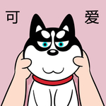 哈小齐