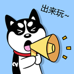 哈小齐
