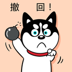 哈小齐