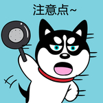 哈小齐
