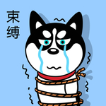 哈小齐