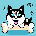 哈小齐