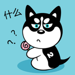 哈小齐