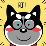 哈小齐