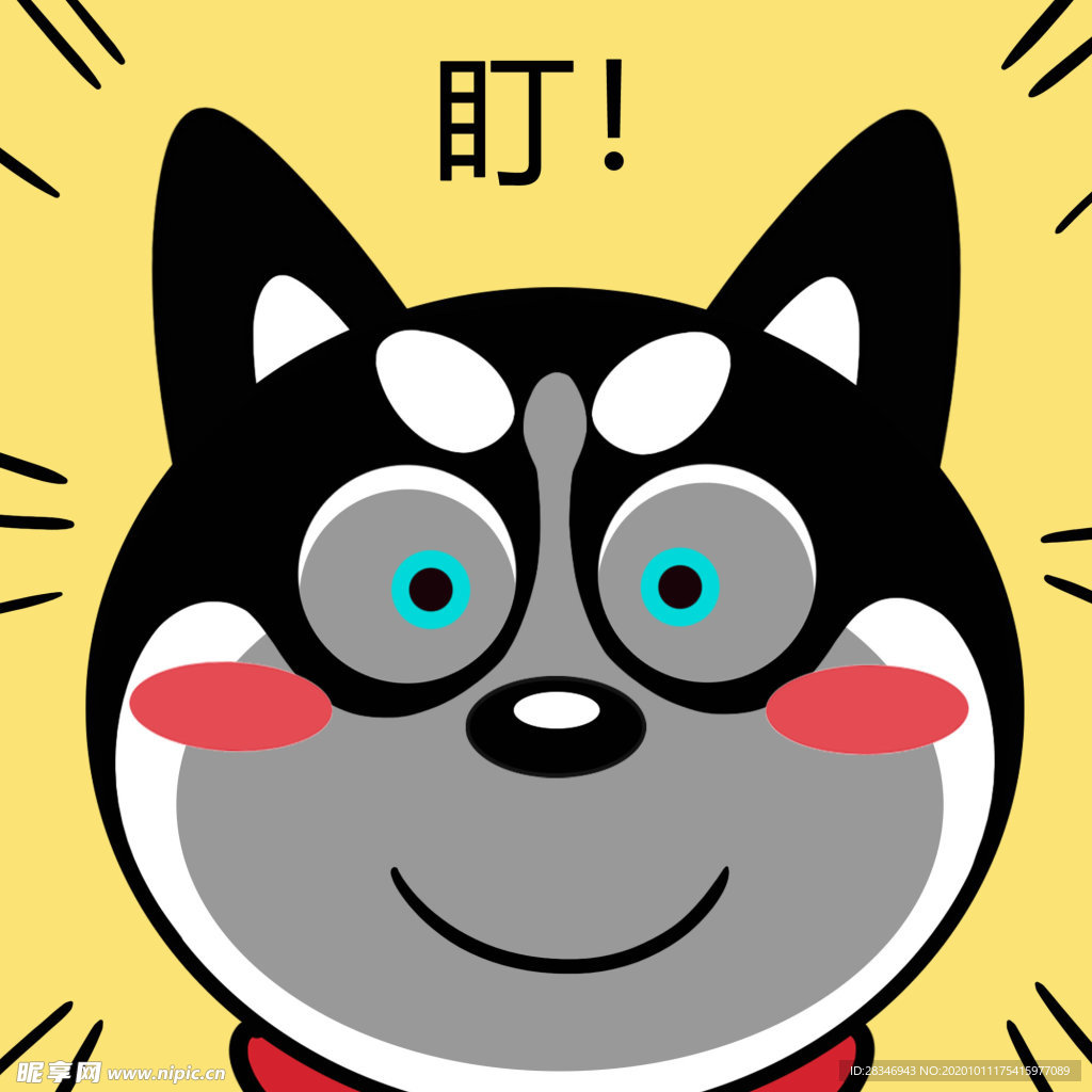 哈小齐