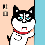 哈小齐