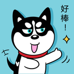 哈小齐