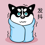 哈小齐
