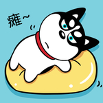 哈小齐