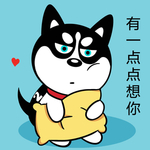 哈小齐