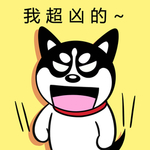 哈小齐