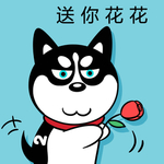哈小齐