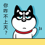 哈小齐