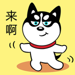 哈小齐