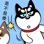 哈小齐