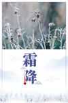 霜降