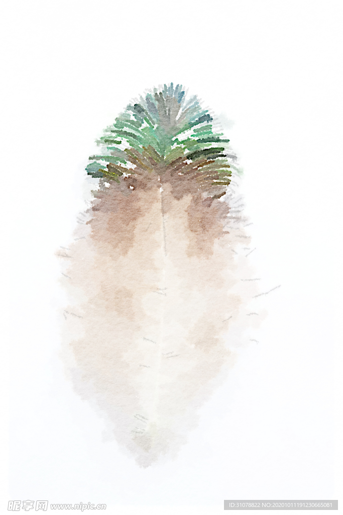 水彩插画鸟图案