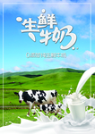 生鲜牛奶