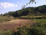 山地