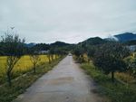 新农村