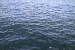 深海海面