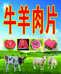 牛羊肉片